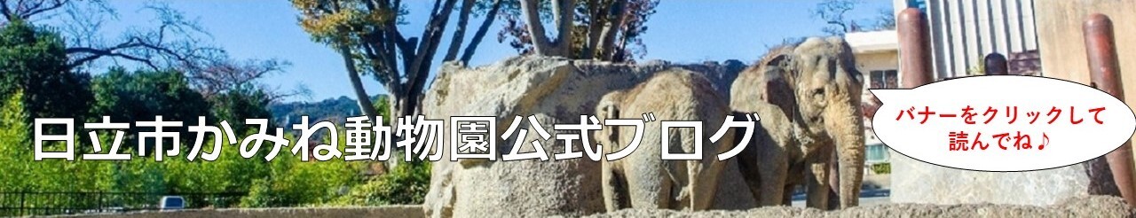 日立市かみね動物園公式ブログのバナー（外部リンク・新しいウィンドウで開きます）