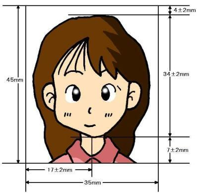 イラスト：証明写真の例
