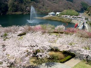 写真：展望台からの噴水