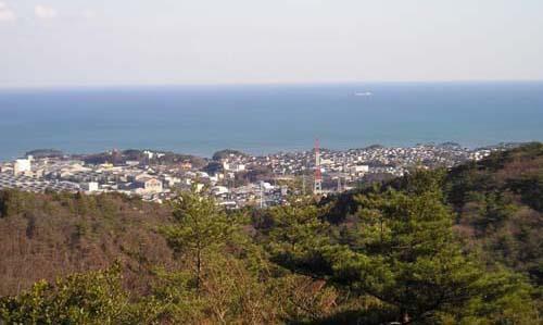 写真：展望台からの風景