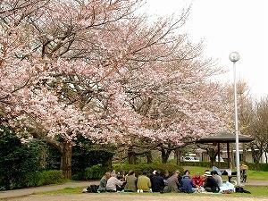 花見の宴の様子