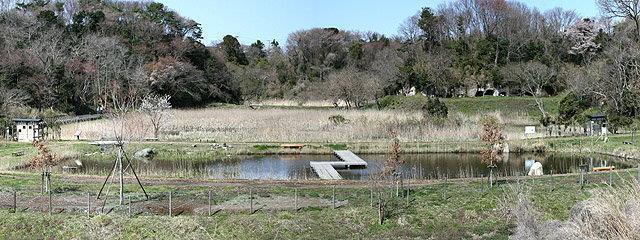 赤羽緑地の写真