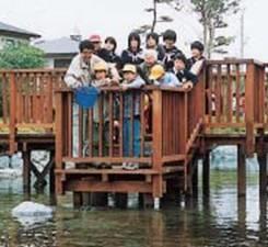 写真：イトヨの放流の様子