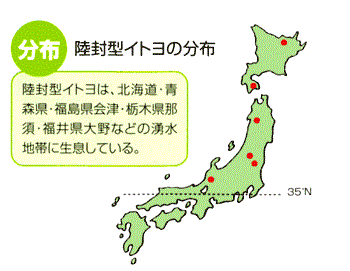 地図：陸封型イトヨの分布