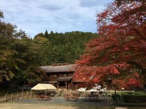 写真：紅葉