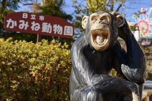 写真：かみね動物園1