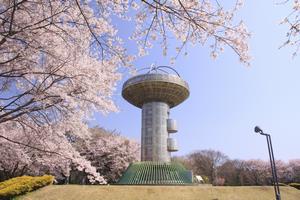 写真：十王パノラマ公園