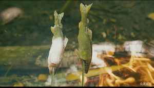 写真：塩焼き