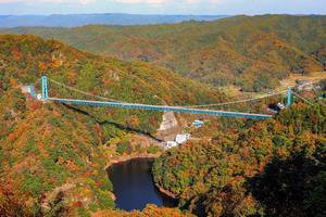 写真：竜神大吊橋