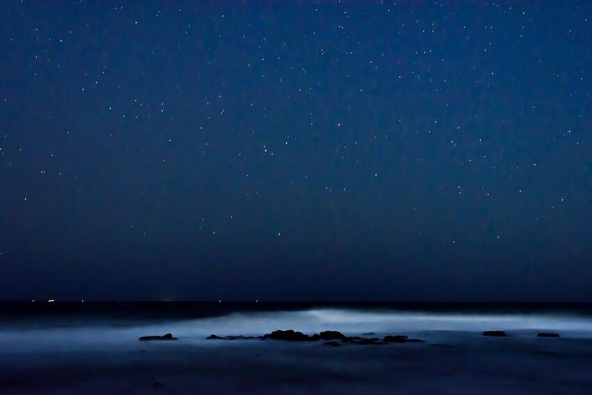 写真：七夕磯