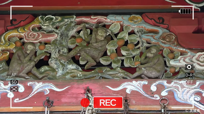 写真：花園神社