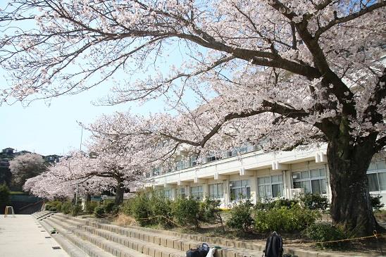 写真：塙山小学校