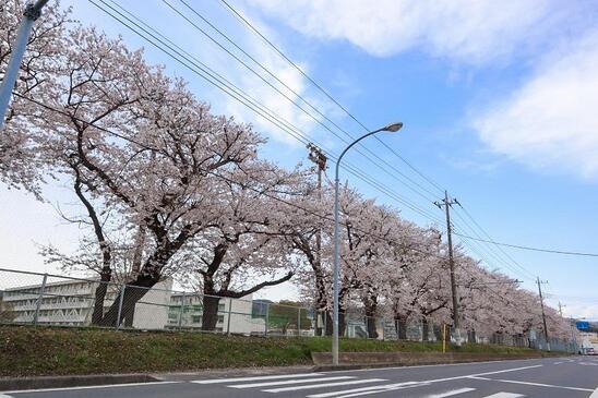 写真：多賀中学校