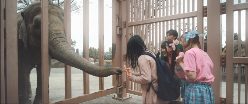 写真：かみね動物園