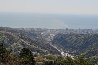 写真：本山