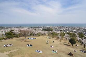 写真：かみね公園からの眺望