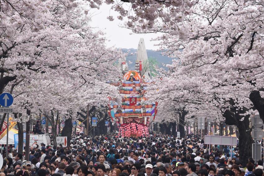 写真：風流物