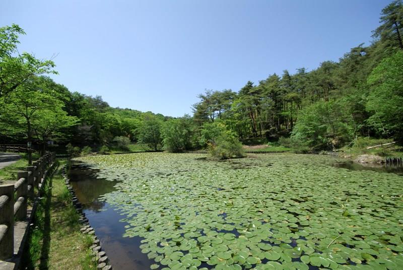 写真：小木津山2