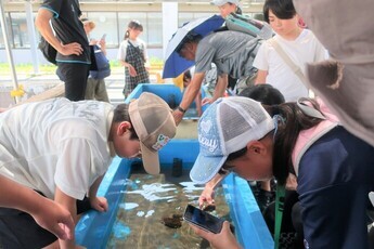 栽培漁業センターの様子