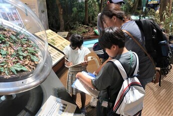 茨城県自然博物館の様子