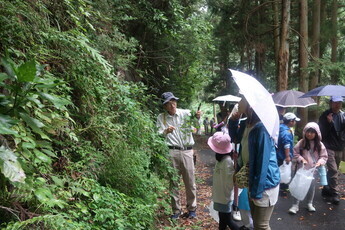 自然観察会の様子