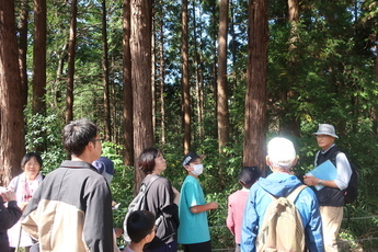森林・林業体験学習の様子