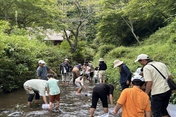 自然観察会の様子
