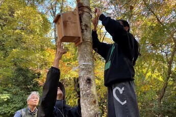 巣箱設置の様子