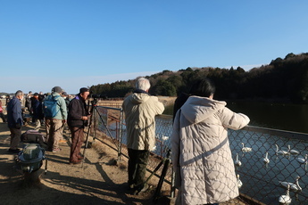 バードウォッチングツアー