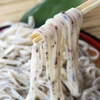 写真：かじめうどん