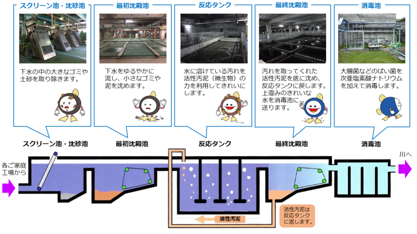 イラスト：下水処理場の仕組み