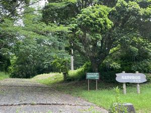 写真：南高野史跡公園1