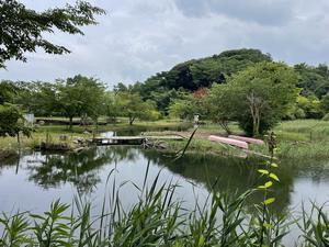 写真：赤羽緑地