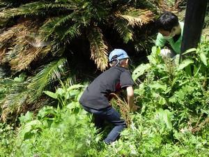 写真：植樹作業3