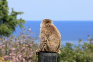 写真：飼育員賞3