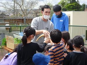 写真：ヤギクイズ