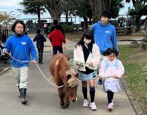 写真：ポニー引馬中