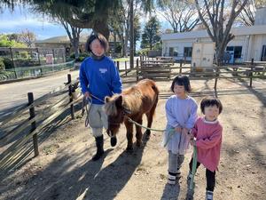 写真：三角広場内を引馬する様子