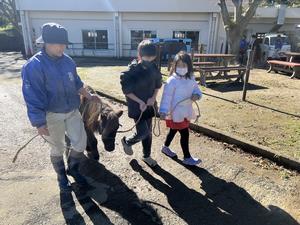 写真：引馬の様子