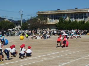 写真：運動会大玉転がしの様子