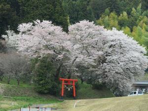 写真：油ケ崎神社