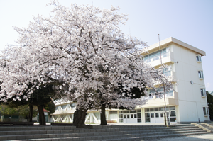 写真：大久保小学校