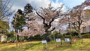 写真：助川小学校