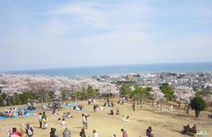 写真：かみね公園1