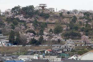 写真：かみね公園2