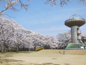 写真：十王パノラマ公園