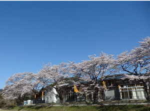 写真：中里小中学校