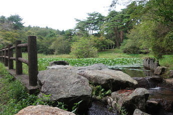 小木津山湿地の写真2