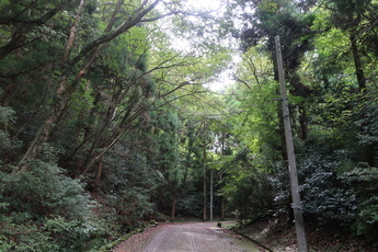 小木津山の写真1