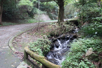 小木津山の写真2